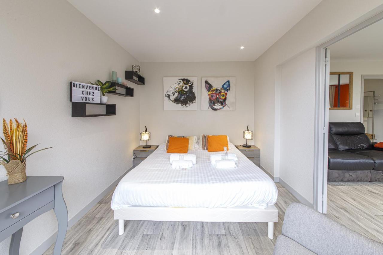 Chic Appartement Vue Sur Parc Au Calme Анже Екстериор снимка